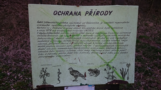 Ochrana Přírody Údolí Lišanského Potoka 