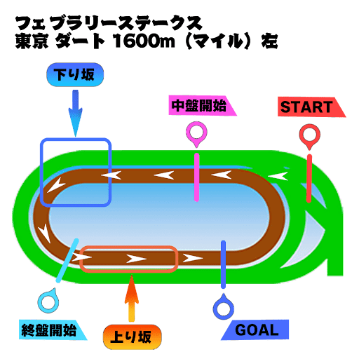 フェブラリーS_俯瞰図