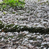 大山背客家人文生態館