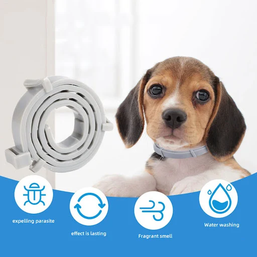 New Pet Dog Cat Collars Veterinary Anti Flea and Tick Collar for Cats Dogs Anti-parasitic Necklace for Large Small Dogs 