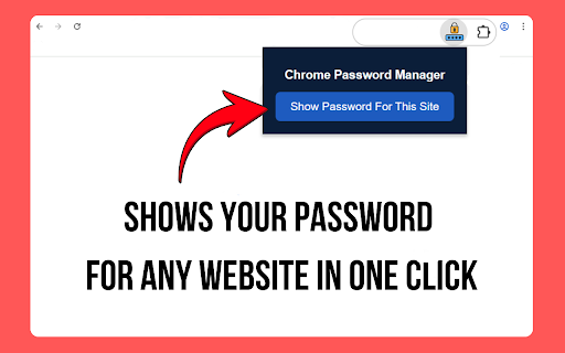 Chrome Password Manager screenshot 1