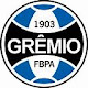 Themes Gremio Porto Alegre