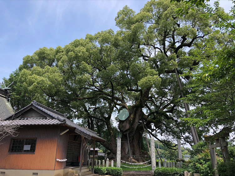 アルトワークスの福岡・珍しい？風景😊・巨樹巨木巡り🌳・小さくなっちゃった⁉︎・フォロワーさんに感謝😌に関するカスタム事例の投稿画像24枚目