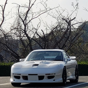 RX-7 FD3S 中期