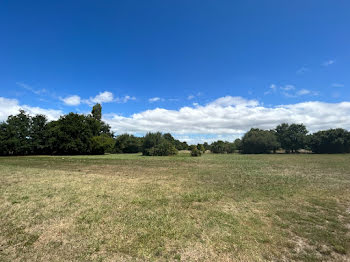 terrain à Saint-Vivien-de-Médoc (33)