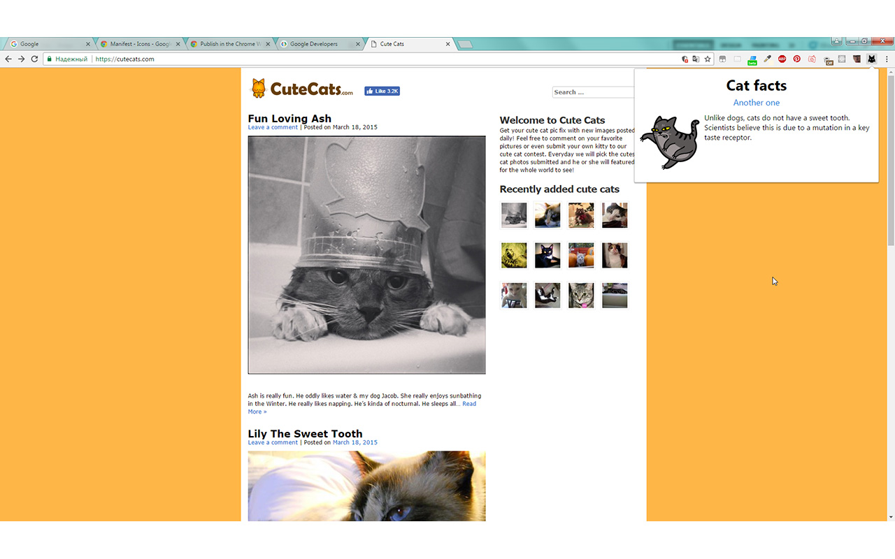 Cat facts Preview image 0