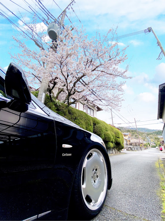 LSの桜とコラボ・ザ京都・スマホ撮影に関するカスタム事例の投稿画像1枚目