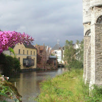 Gand: cielo plumbeo e fiori viola di 