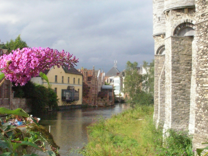 Gand: cielo plumbeo e fiori viola di lollo