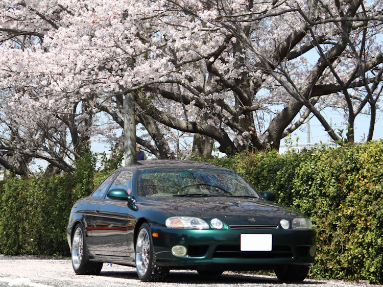 ソアラの桜とコラボに関するカスタム事例の投稿画像2枚目