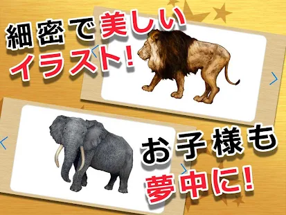 動物カード　子供向け図鑑　教育・知育・英語(圖3)-速報App