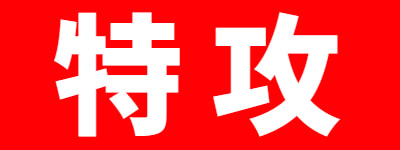 特攻式神