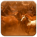 Wild Horses Chrome extension download