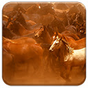 Wild Horses Chrome extension download