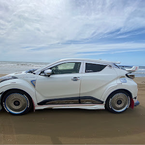 C-HR ZYX10