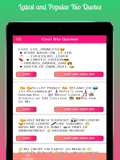 Bios Ideas for Social Media  Tik Bios