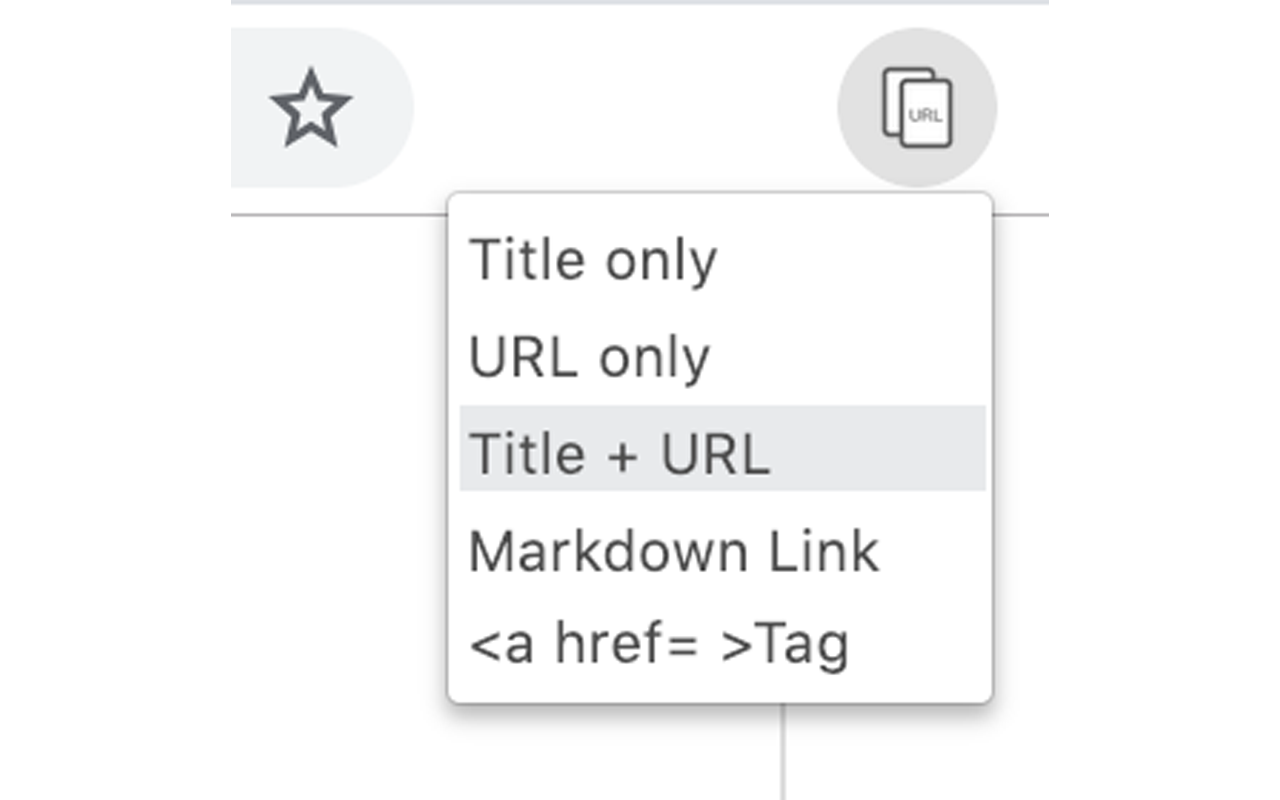 URL and Title Copier Preview image 0