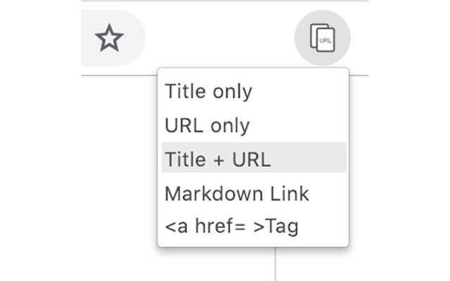 URL and Title Copier chrome extension