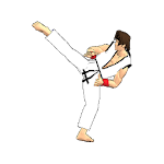 Final Karate (free) Apk