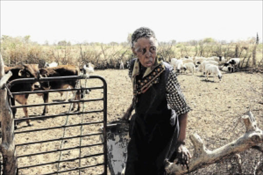 LIVELIHOOD: Tshenolo Lesomo at the kraal where she keeps her goats in Morwatshetlha village near Mahikeng in North West. A man accused of stealing two of her goats was killed by a mob PHOTO: PETER MOGAKI