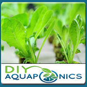 Diy Best Aquaponics  Icon