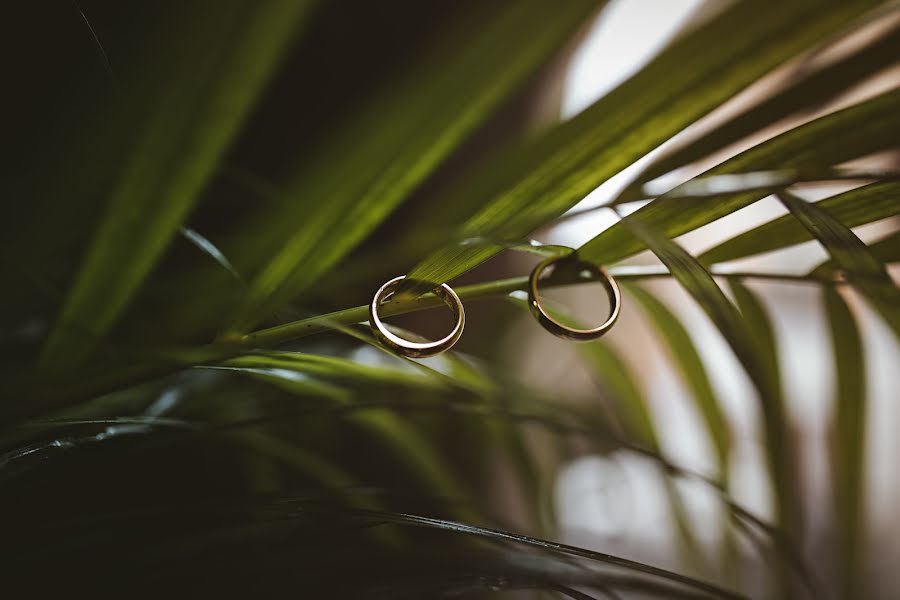 Fotografo di matrimoni Tyler Nardone (tylernardone). Foto del 18 maggio 2019