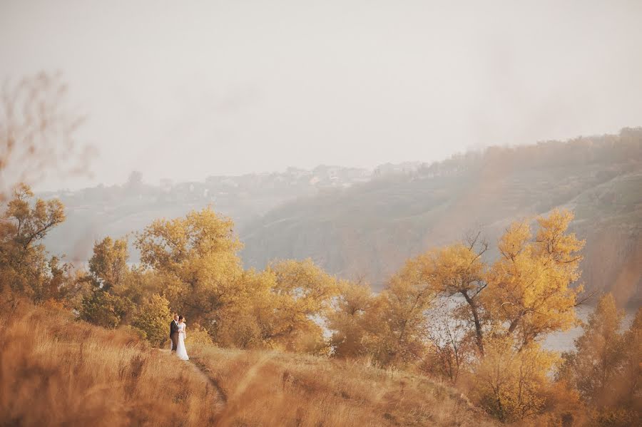 Wedding photographer Irina Kotlyar (irakotlyar). Photo of 2 February 2014