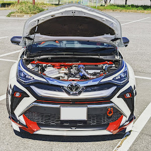 C-HR NGX10