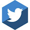 Item logo image for xtwittermarket.com | auth token login