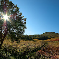 Controluce d'autunno di 