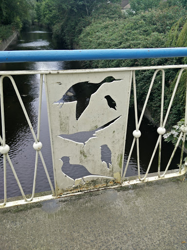 Bird Art Over The Dodder