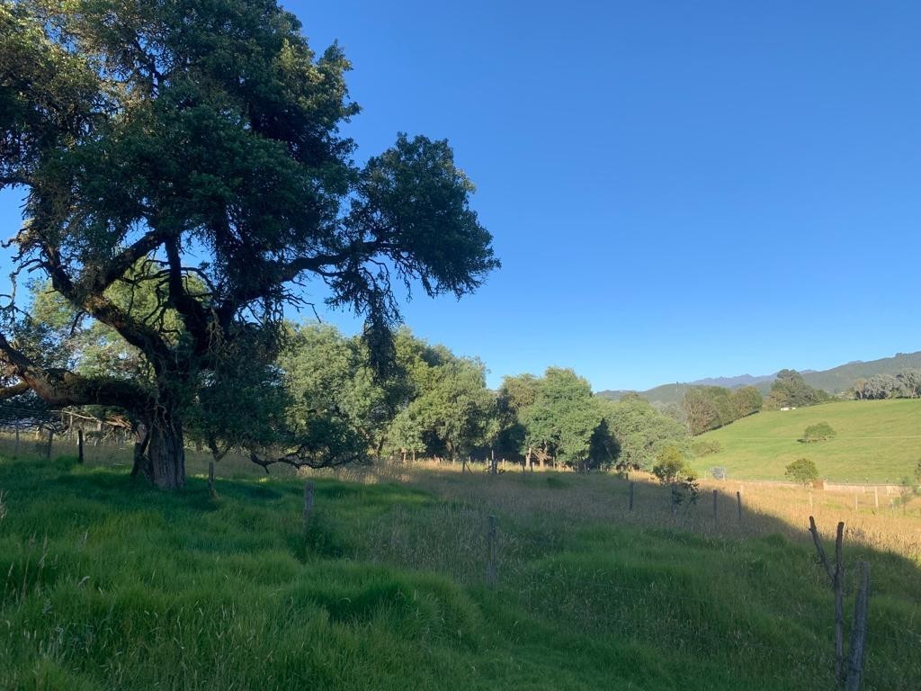 Lote En Venta - La Calera, La Calera