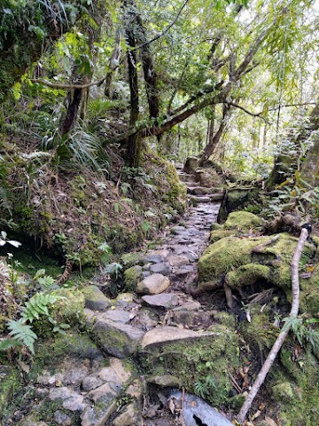 Pinnacles Walk Kauaeranga Kauri Trail The Rock Staircase