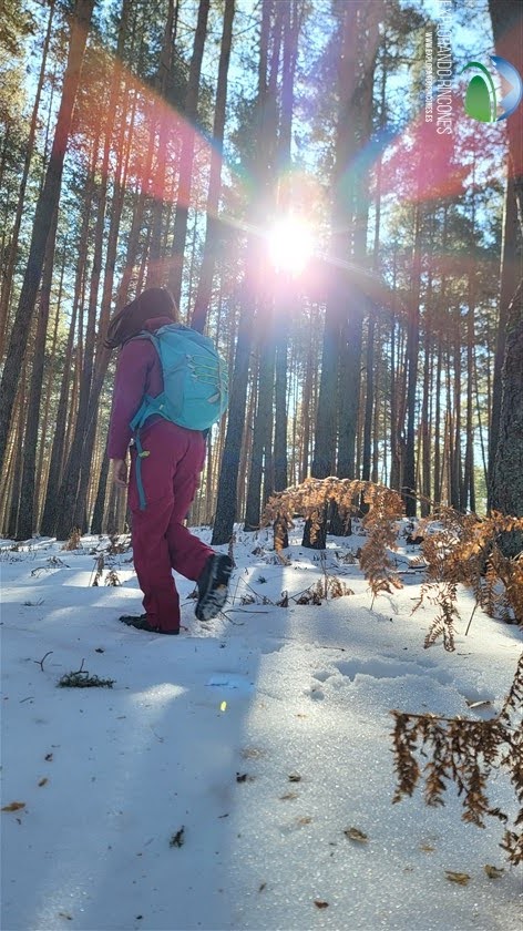 Rutas de Senderismo Explorando la naturaleza en familia