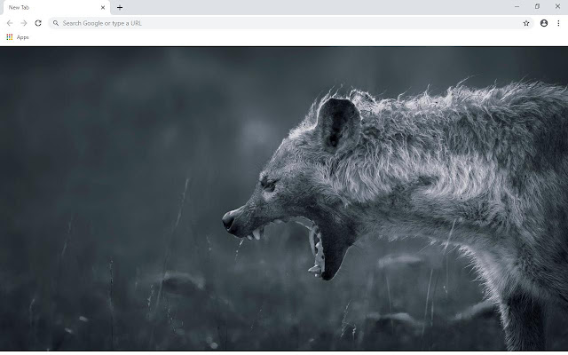 Hyena Wallpapers and New Tab