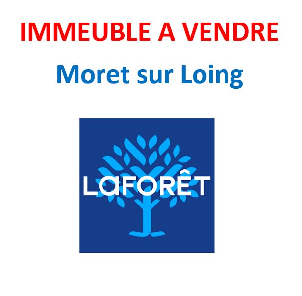 Vente locaux professionnels   à Moret-Loing-et-Orvanne (77250), 420 000 €