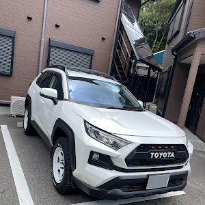 RAV4 MXAA54