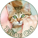 Tabby Cat icon