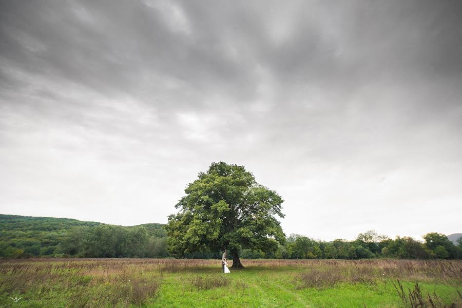 Fotógrafo de bodas Sergey Milshin (dzakum). Foto del 21 de octubre 2013