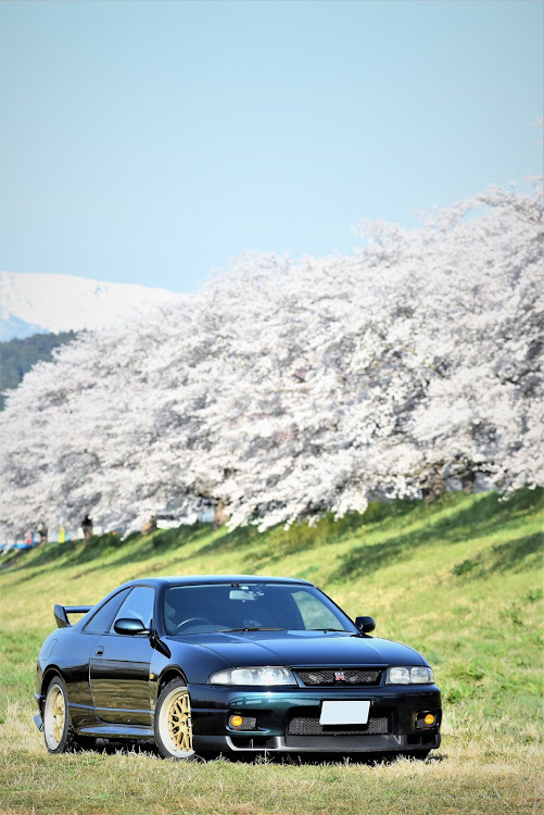 スカイライン GT-Rの白石川堤一目千本桜・サクラと愛車・桜の名所・蔵王山・ミッドナイトパープルⅡに関するカスタム事例の投稿画像3枚目