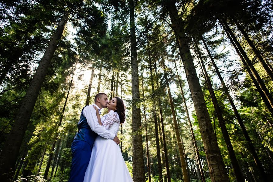 Wedding photographer Olga Goshko (goshko). Photo of 1 August 2017