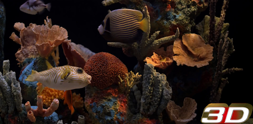 3d Aquarium Live Wallpaper Apps On Google Play