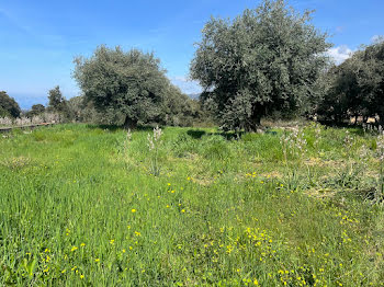 terrain à batir à Calenzana (2B)