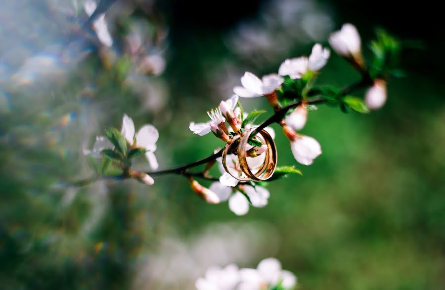 Photographe de mariage Evgeniy Penkov (penkov3221). Photo du 1 mai 2019