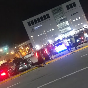 ニュービートル