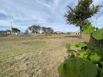 terrain à Roiffieux (07)