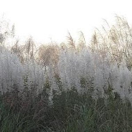 伯朗咖啡館 員山酒堡咖啡