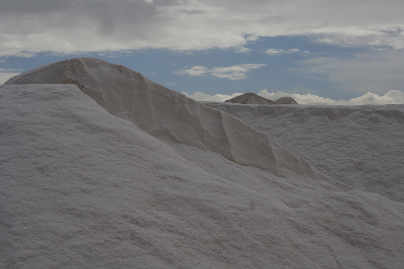 celeste e bianco, nelle Saline di ariosa