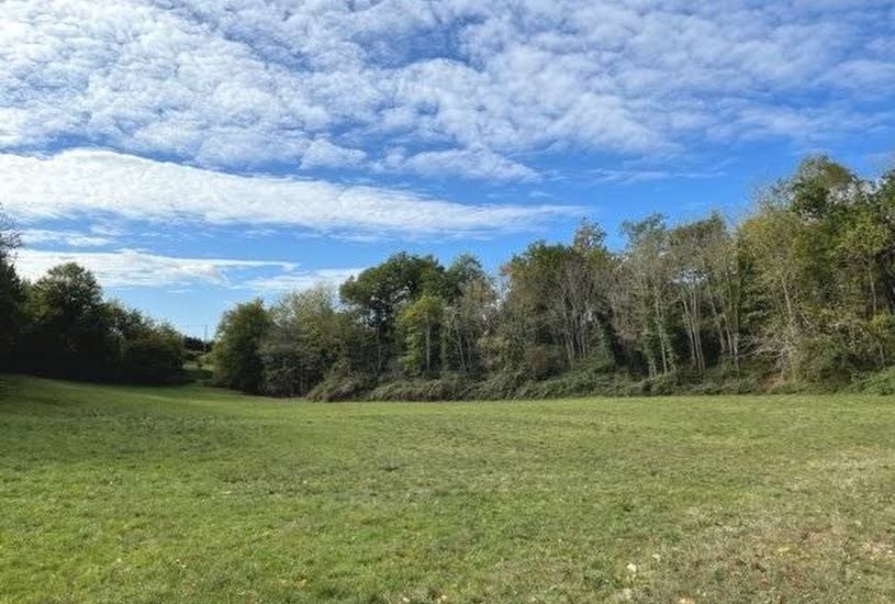  Vente Terrain à bâtir - 7 356m² à Cénac-et-Saint-Julien (24250) 