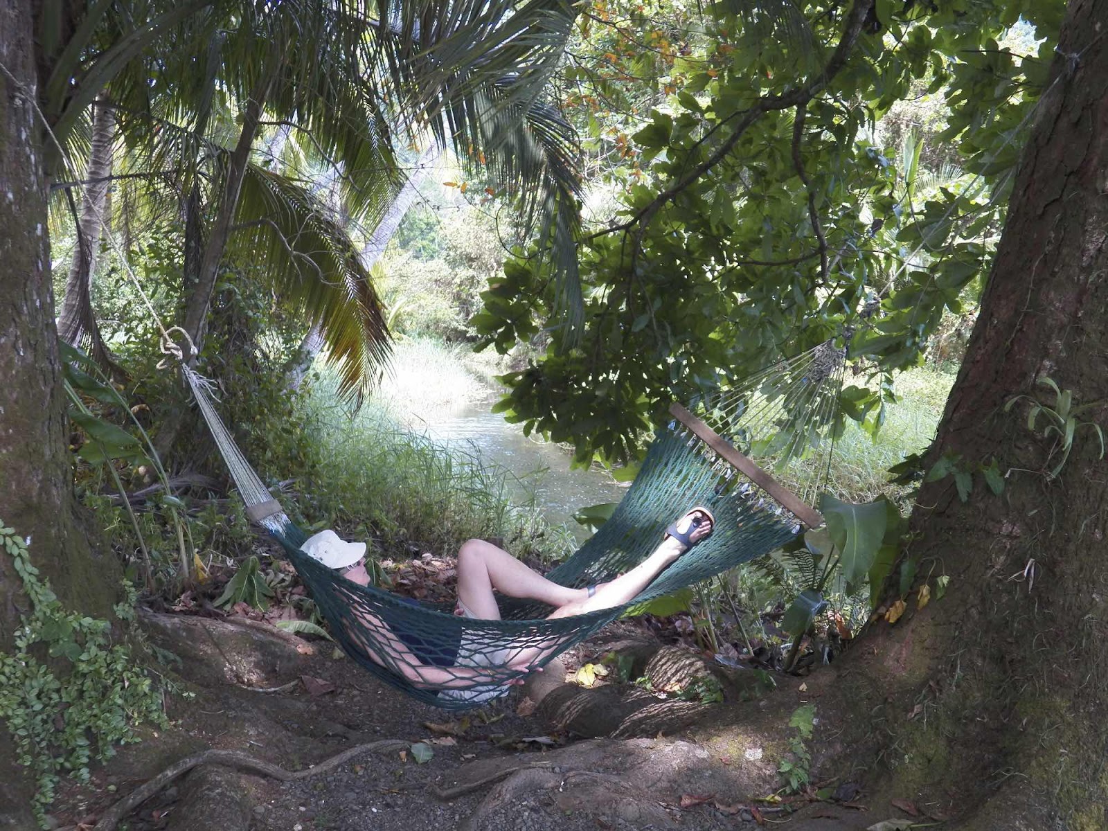 Hammock, Nicuesa, Costa Rica